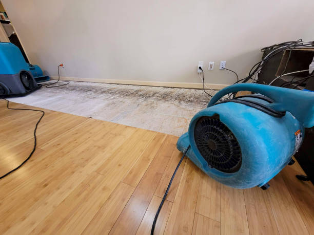 Professional Sewage Cleanup technician working in Gower, MO
